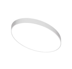 Multiline 80 E-C, ovaal armatuur opbouw, 1800x1000x80, 4000k, 17628lm, 205w, fix